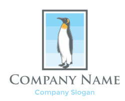 Illustration of a standing penguin against a blue background.