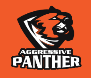 Aggressive Panther logo featuring a stylized panther head with bold text on an orange background.