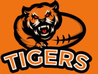 Fierce tiger logo with text 'TIGERS' on an orange background.