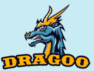 Illustrated dragon mascot logo with 'DRAGOO' text.