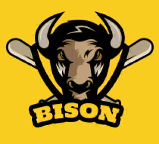 Bison sports team logo with crossed baseball bats on a yellow background.