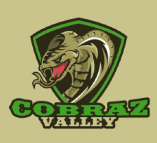 Cobraz Valley logo featuring a fierce cobra within a green shield.