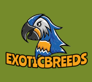 Logo featuring a colorful parrot with the text 'Exotic Breeds' on a green background.