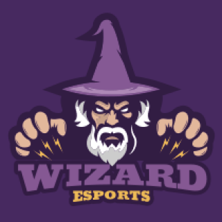 Wizard Esports logo featuring a wizard with a purple hat and lightning on a purple background.