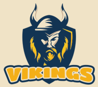 Logo featuring a Viking warrior with a horned helmet and the text 'Vikings'.
