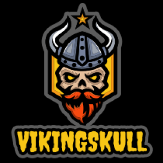 Viking skull logo with a helmet, horns, red beard, and star.