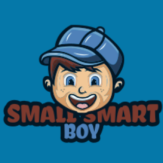 Logo of a smiling cartoon boy wearing a cap with the text 'Small Smart Boy'.