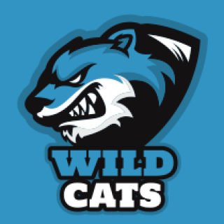 Wild Cats logo featuring a fierce animal illustration on a blue background.
