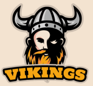 Vikings logo featuring a Viking warrior with a helmet and beard.