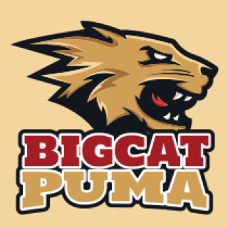 BigCat Puma logo featuring a fierce puma head with bold text.