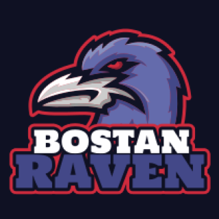 Boston Raven logo featuring stylized raven head with text.