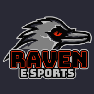 Raven Esports logo featuring a stylized raven head with bold text.