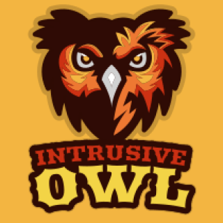 Logo design featuring an owl illustration with the text 'Intrusive Owl' in bold letters.